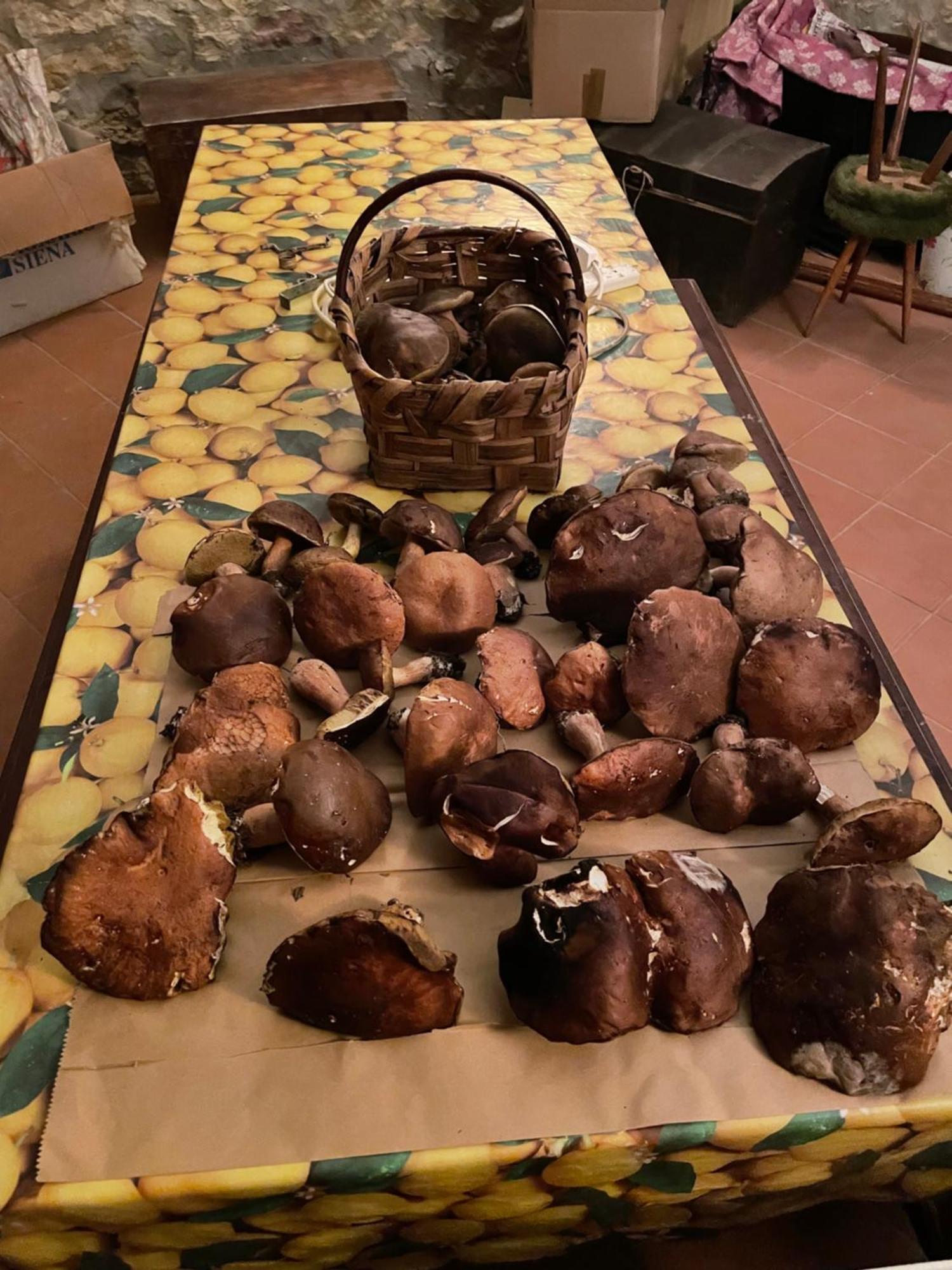 Casamoira Appartement Trequanda Buitenkant foto