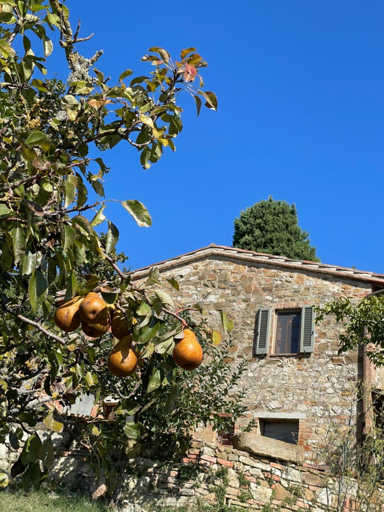 Casamoira Appartement Trequanda Buitenkant foto